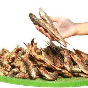 Karnali ko sano maxa